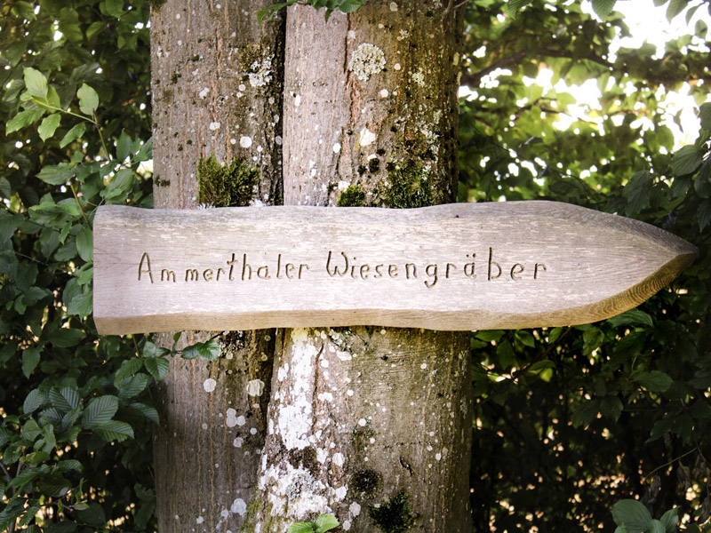 Friedhof3